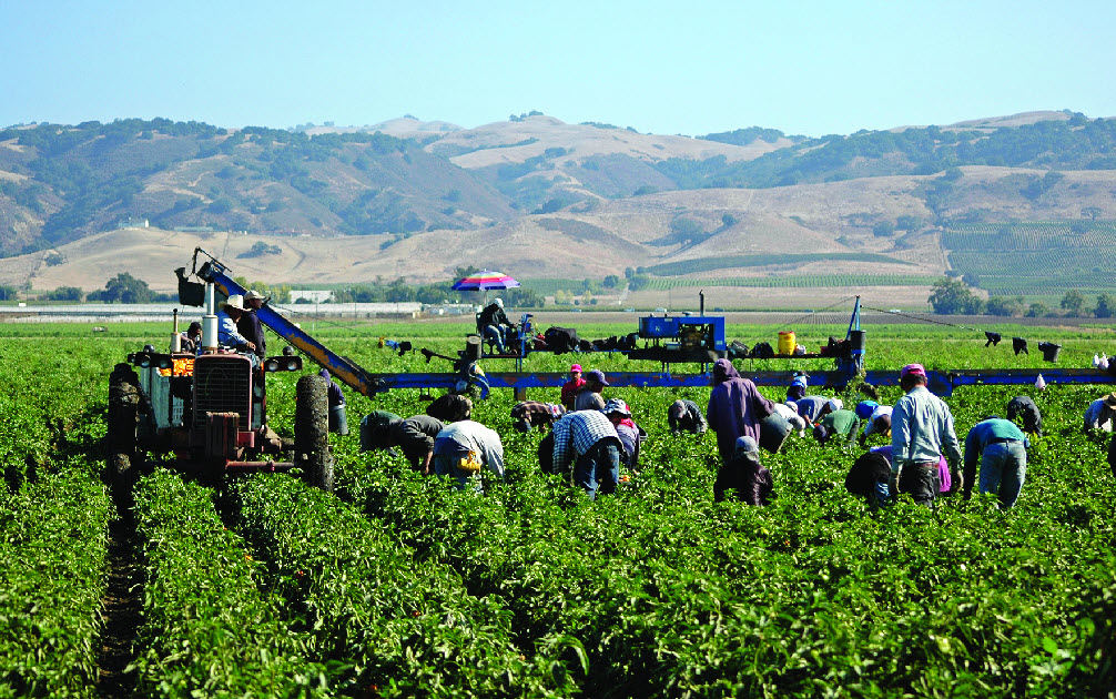 istock-farm-workers-
